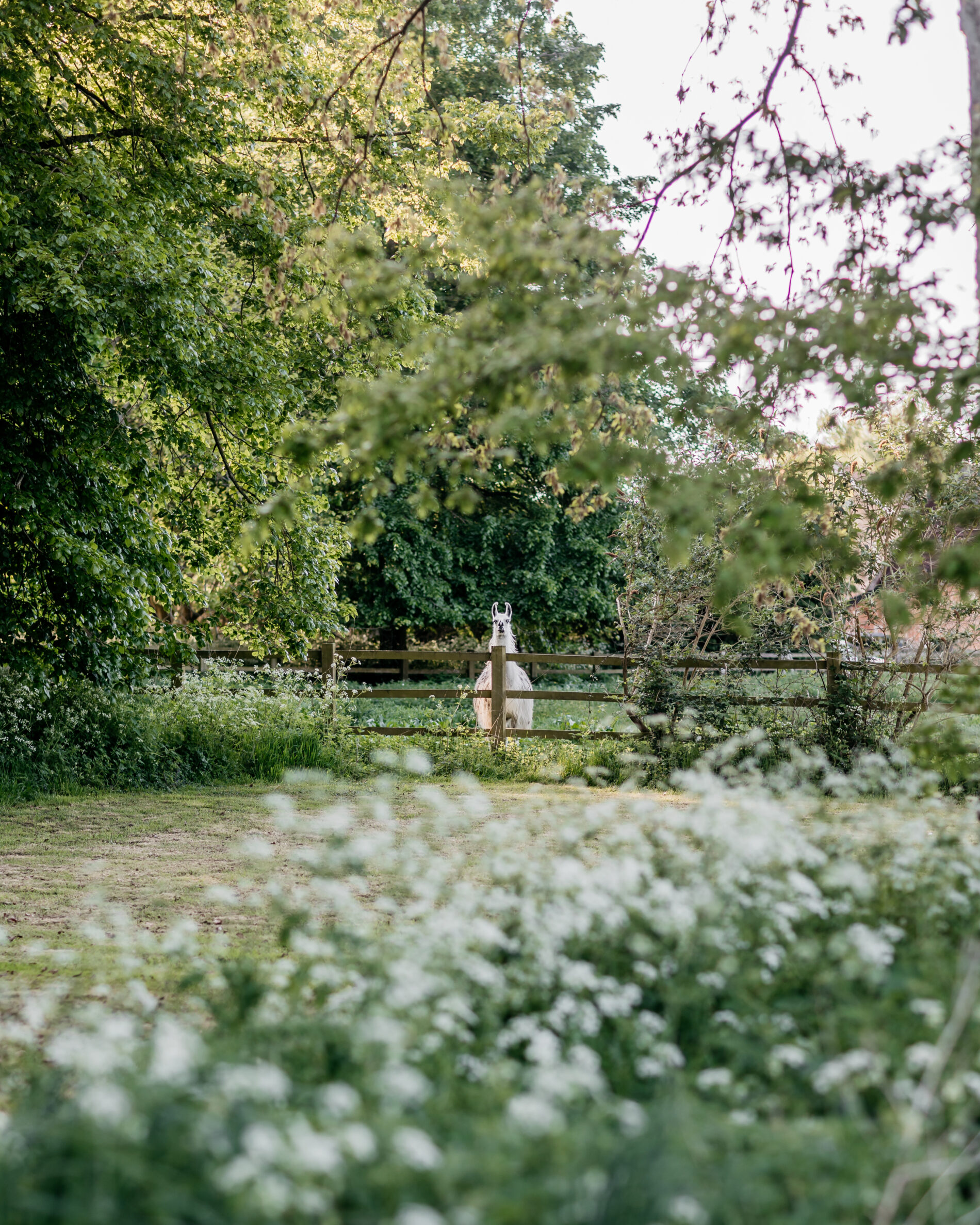 College Farm Norfolk A B&B, boutique selfcatering cottage and